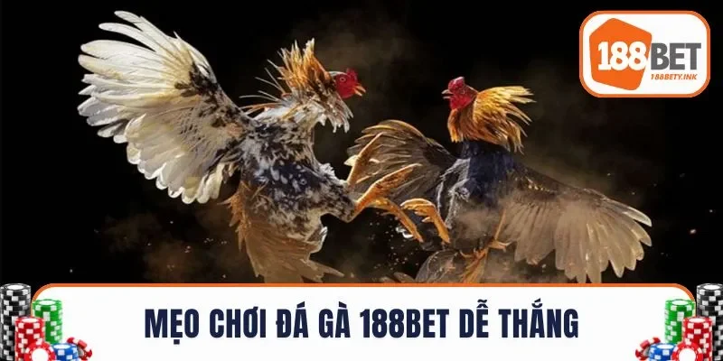 Mẹo chơi đá gà nhà cái 188BET dễ thắng